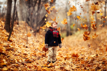 boy child 4 years old in coat and hat in autumn