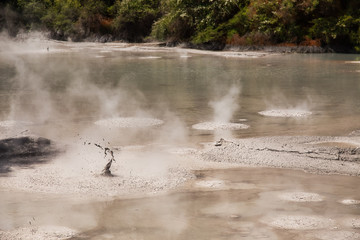 Mud Pool at Wai-O-Tapu Geothermal Area near Rotorua, New Zealand