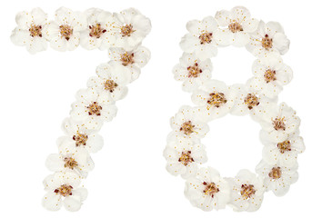 Numeral 78, seventy eight, from natural white flowers of apricot tree, isolated on white background