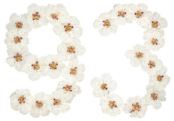 Numeral 93, ninety three, from natural white flowers of apricot tree, isolated on white background