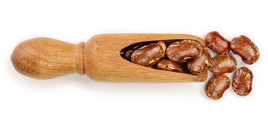 brown kidney bean in wooden scoop isolated on white background. Top view. Flat lay