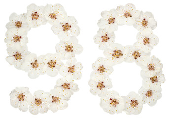 Numeral 98, ninety eight, from natural white flowers of apricot tree, isolated on white background