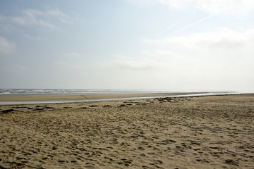 Obraz premium Utah Beach (plage du débarquement)