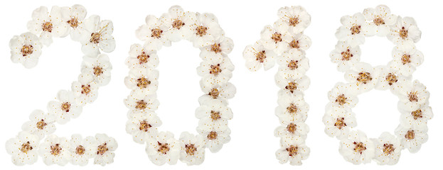 Inscription 2018, from natural white flowers of apricot tree, isolated on white background