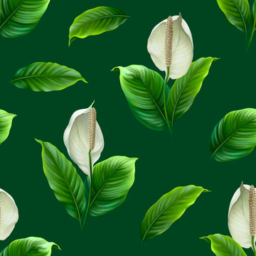 Anthurium flower. Seamless pattern design. Digital art
