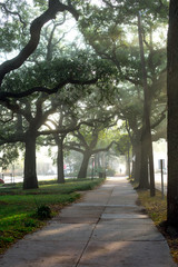 city pathway