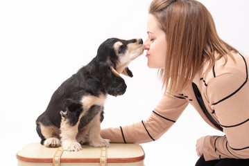 Puppy kisses from cute cocker spaniel dog