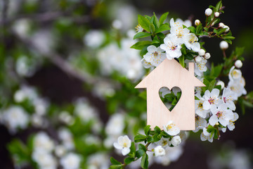 Closeup wooden house with hole in form of heart surrounded by white flowering branches of spring trees.