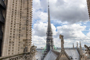 Fototapeta na wymiar The spire of Notre Dame Cathedral