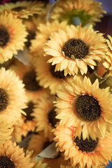 Festival de las flores ,Ciudad de méxico