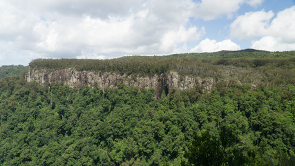 View of canyon in the middle of Springbrook national park, Australia