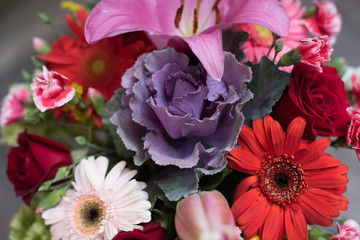 Festival de las flores ,Ciudad de México