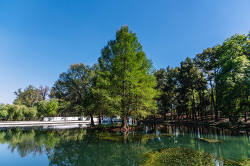 Obraz premium Lake and forest, sunny day at Ex Hacienda de Chautla, Puebla, Mexico