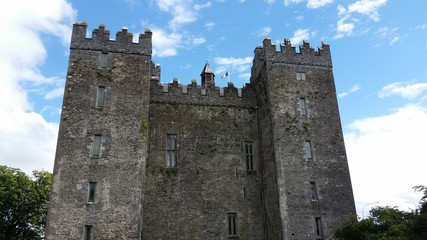 Fototapeta na wymiar old irish castle