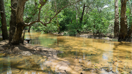 Bank of dangerous South Alligator River in Kakadu National Park, Australia
