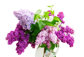 Fresh lilac flowers
