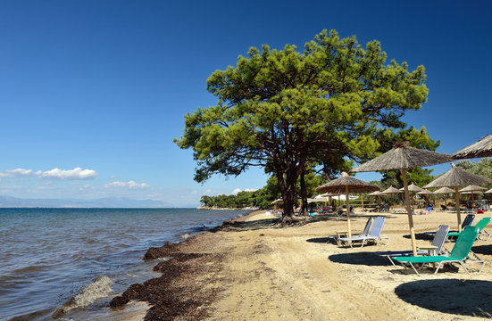 Pachis Beach, Thassos island, Greece. Beautiful sunny day in september.