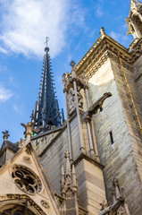 Fototapeta na wymiar Towers and gargoyles of Notre Dame.