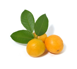 Fruit of Brazil cajarana. Cajá. Sour and delicious fruit with leaves. Isolated Cajaranas fruits.