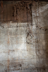 Grunge cement basement wall