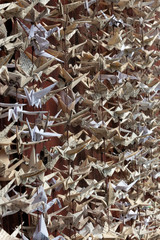 Deep view of 1000 folded paper origami cranes sculpture from vintage ephemera, selective focus, vertical aspect