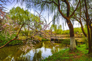 Fototapeta na wymiar Traditional Chinese City Garden Park.