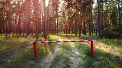 Barricade Bars Vehicle Traffic through Russian Forest Wilderness