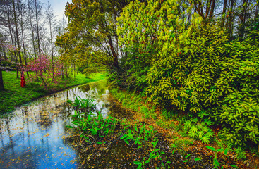 Traditional Chinese Garden Park.