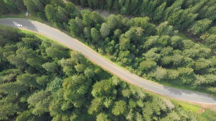 Highway cuts throught he forested slopes of Carpathian Mountains
