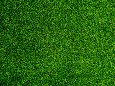 Green grass texture background, Green lawn, Backyard for background, Grass texture, Park lawn texture. Green lawn desktop picture.