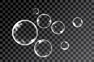 Bubbles in transparent background - obrazy, fototapety, plakaty