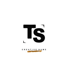 T S TS Initial logo template vector
