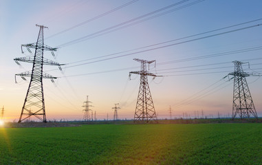 High voltage lines and power poles and green agricultural landscape during sunset.