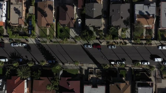 Drone flys over iconic Los Angeles palm tree lined street with the city skyline in the background.