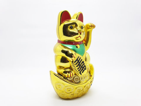 Gold Cat Statue representing luck symbol and sign for traditional chinese culture presented in white isolated background