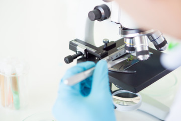 scientist working at the lab