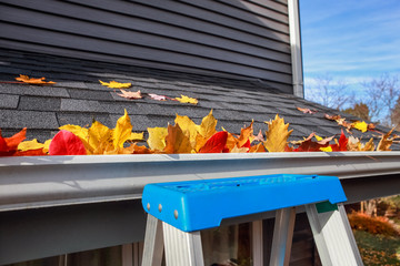 Colorful fall leaves in the gutter on a roof with ladder