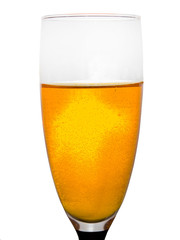 beer in a glass close-up