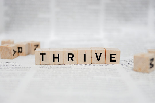 Thrive Word Written In Wooden Cube - Newspaper