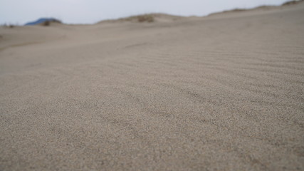 砂丘　どこまでも続く砂