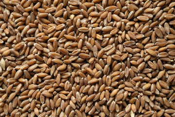 spelled wheat cereal, texture, background, top view