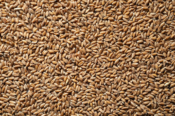 spelled wheat cereal, texture, background, top view
