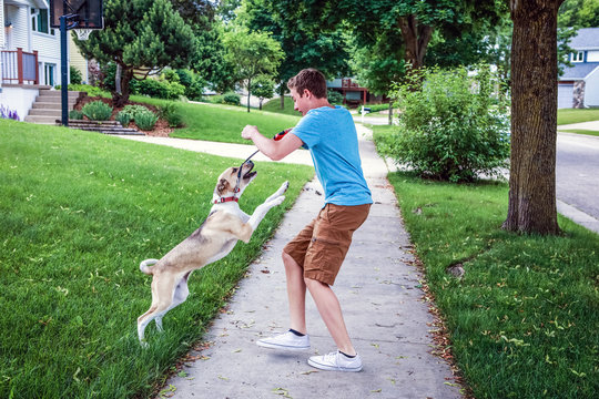 Dog Playing And Jumping Up On Teenage Boy