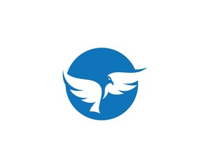  Eagle Bird Logo Template