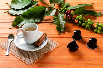 Obraz na płótnie Canvas White cup of hot coffee on wooden table. Orange wood pinus.