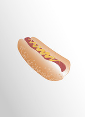 hotdog