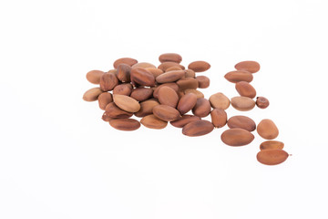 Biancaea sappan seeds on white background.