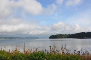 Puget Sound Placid