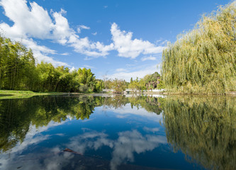 A pond with trees on the shores. Reflection of blue sky with clouds in water.