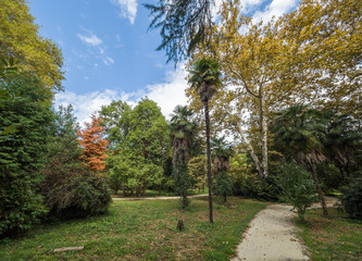 Obraz premium Green bushes, trees and palms on the background of the sunny blue sky.